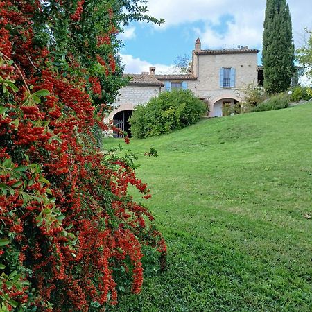 Agriturismo Del Frontino - Lo Studio Acqualagna Kültér fotó