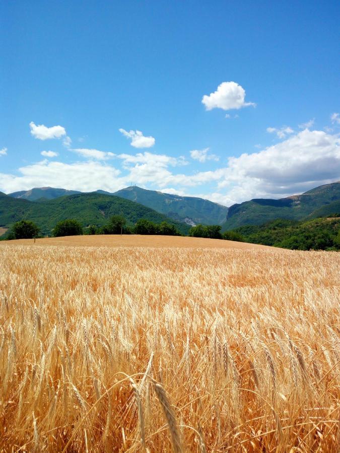 Agriturismo Del Frontino - Lo Studio Acqualagna Kültér fotó