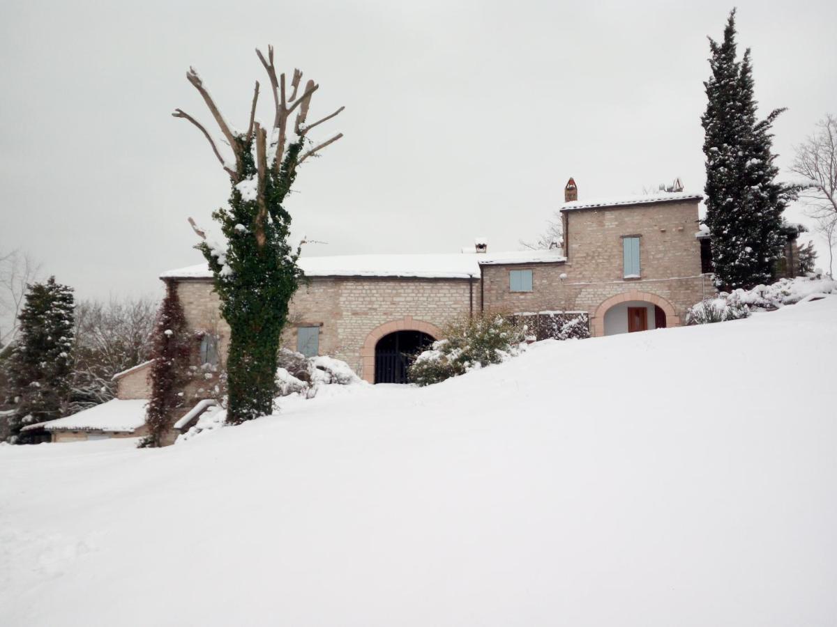 Agriturismo Del Frontino - Lo Studio Acqualagna Kültér fotó