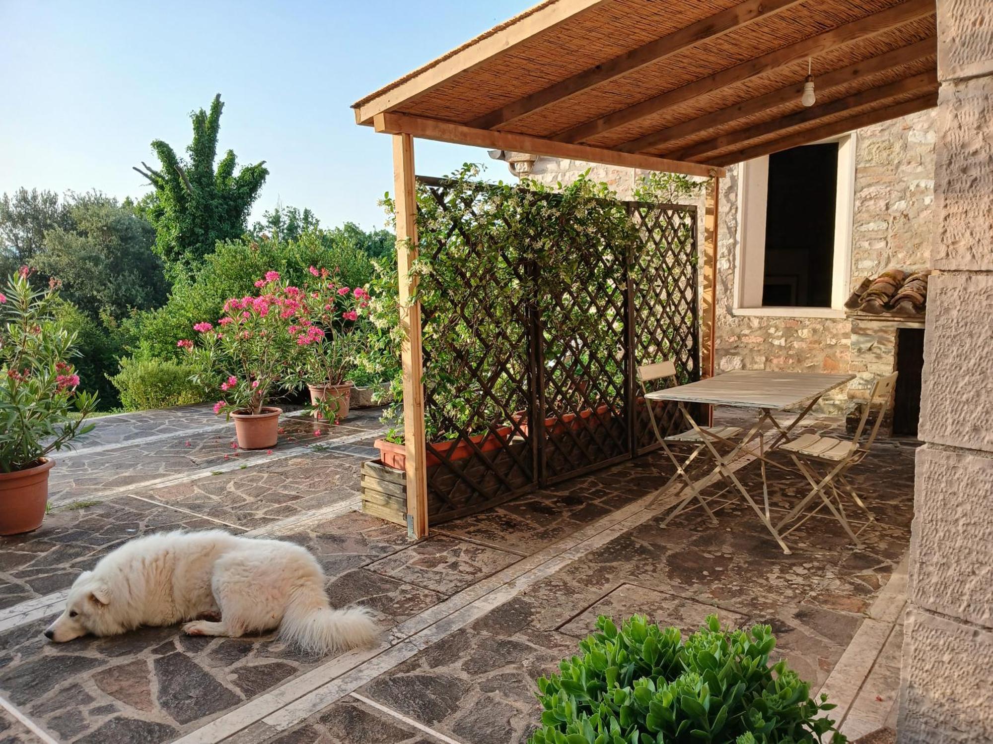 Agriturismo Del Frontino - Lo Studio Acqualagna Kültér fotó
