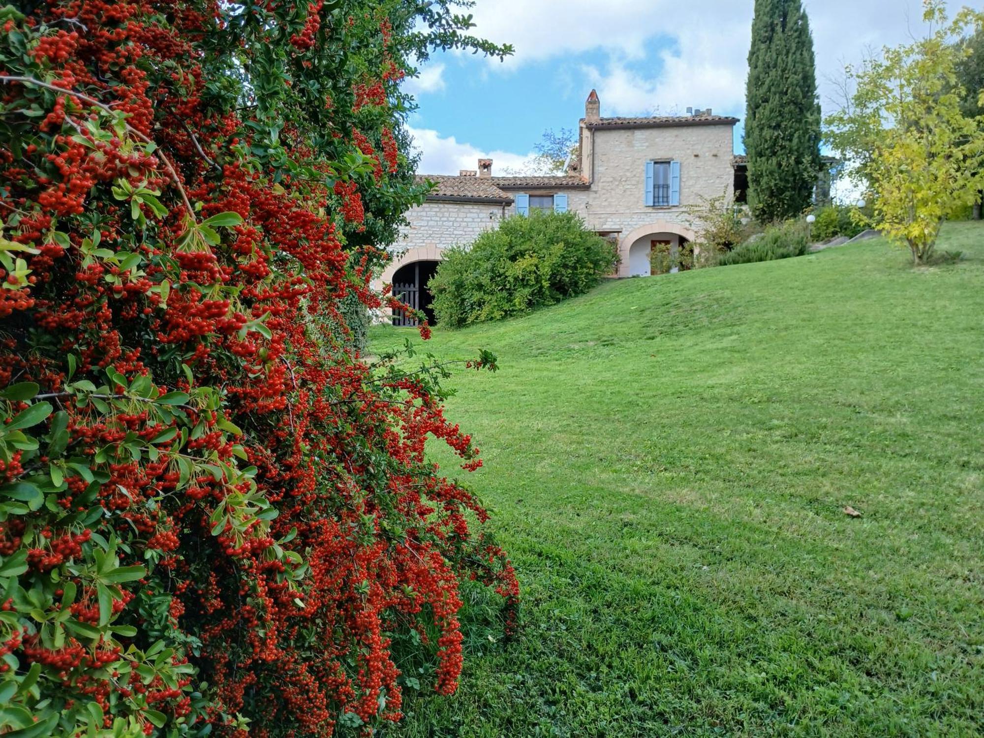 Agriturismo Del Frontino - Lo Studio Acqualagna Kültér fotó
